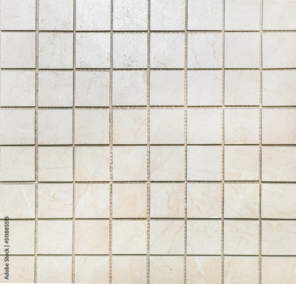 A small square ceramic tile for cladding. A small square ceramic tile for cladding.