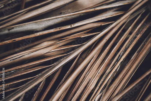 The texture of dry palm leaves on the ground