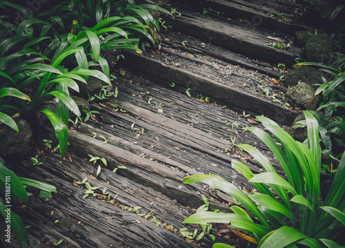 Old rustic wooden stairs in the garden