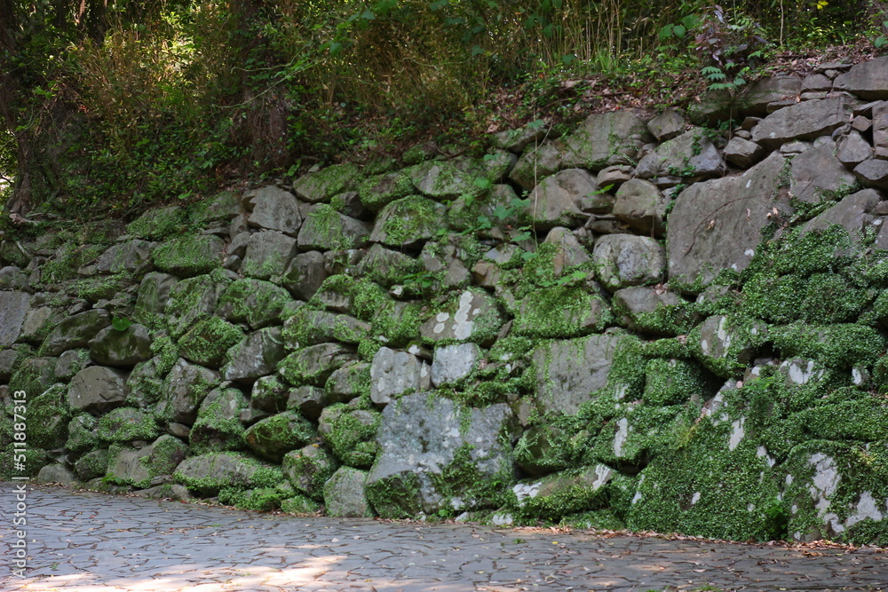 緑に囲まれた福岡城跡。石垣や塀などの歴史的建造物。福岡城は舞鶴公園と大濠公園にある。日本、福岡県 緑に囲まれた福岡城跡。石垣や塀などの歴史的建造物。福岡城は舞鶴公園と大濠公園にある。日本、福岡県