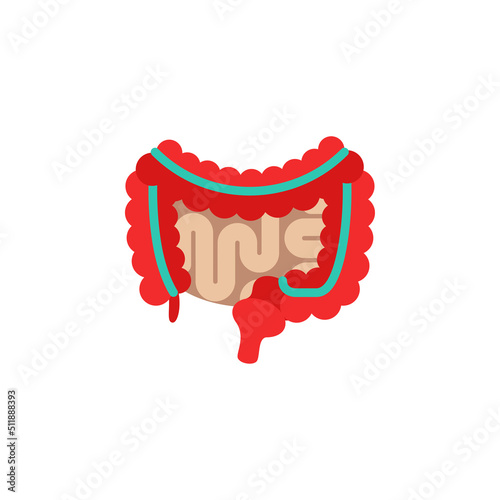 Small and large intestine abstract flat icon. Human Internal Organ vector illustration isolated on white background. Colon bowel logo, digestion concept poster