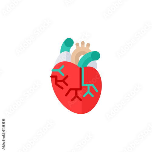 Human heart anatomy abstract flat icon. Internal Organ vector illustration isolated on white background. Medical diagram cardiology poster