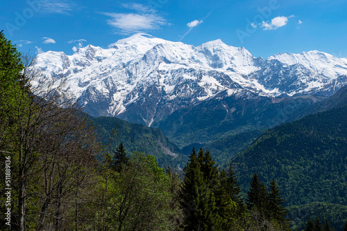 Mountain landscape with forest and Mont Blanc behind © sissoupitch
