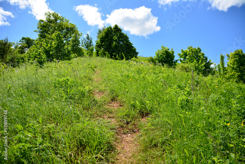 mountain footpath among green grass and bushes leading to the hill