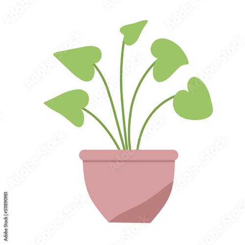 Houseplants