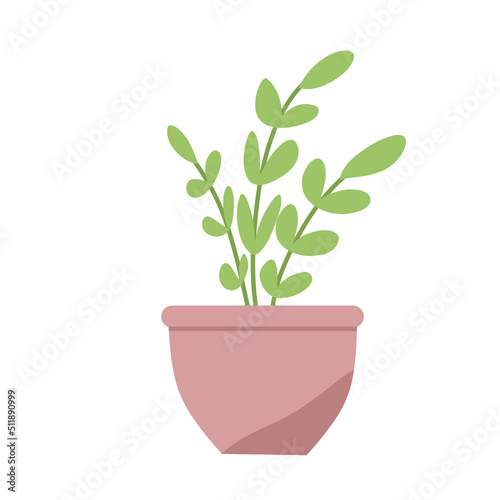 Houseplants