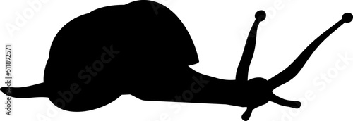 Black silhouette of White-lipped snail (Cepaea hortensis)