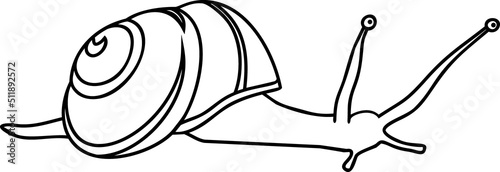 Coloring page with White-lipped snail (Cepaea hortensis)