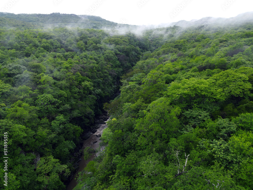 Aerial view of a cloud forest in the mountains with a thermal river weaving through Aerial view of a cloud forest in the mountains with a thermal river weaving through