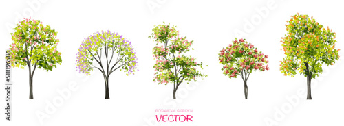 Vector watercolor blooming flower tree or forest side view isolated on white background for landscape and architecture drawing,elements for environment or and garden,botanical element for section 
