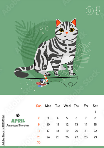 Vertical calendar for april 2023 with american shorthair cat. Isolated on green background. Vector flat illustration. Week starts on Sunday