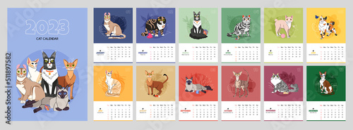 Cat calendar 2023 year. Isolated on colorful background. Collection with 12 vector cat breeds. Bright cover and 12 months pages with seasonal vector illustrations. Week starts on Sunday photo