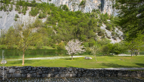 Nembia nature reserve. Naturalistic oasis of Nembia lake in western Trentino Alto Adige - Adamello-Brenta Nature Park - northern Italy photo