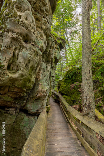 Pitted Droop sandstone and boardwalk in Beartown State Park in West Virginia. Ferns and colorful lichens and mosses grow on the rock surface.