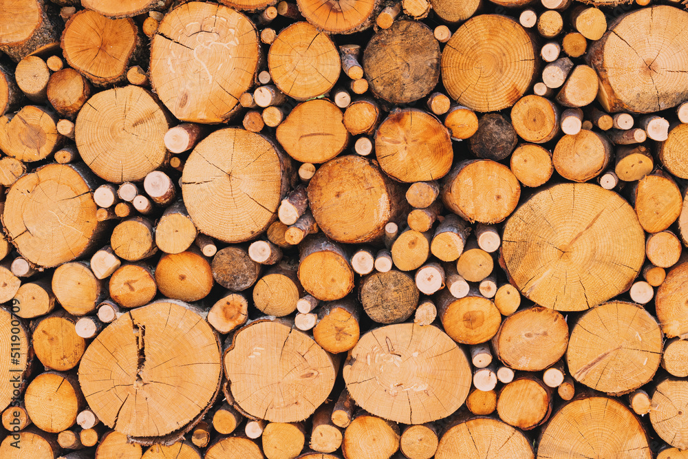 A lot of sawn branches and trunks of different diameters as decoration. Wooden background and construction material A lot of sawn branches and trunks of different diameters as decoration. Wooden background and construction material