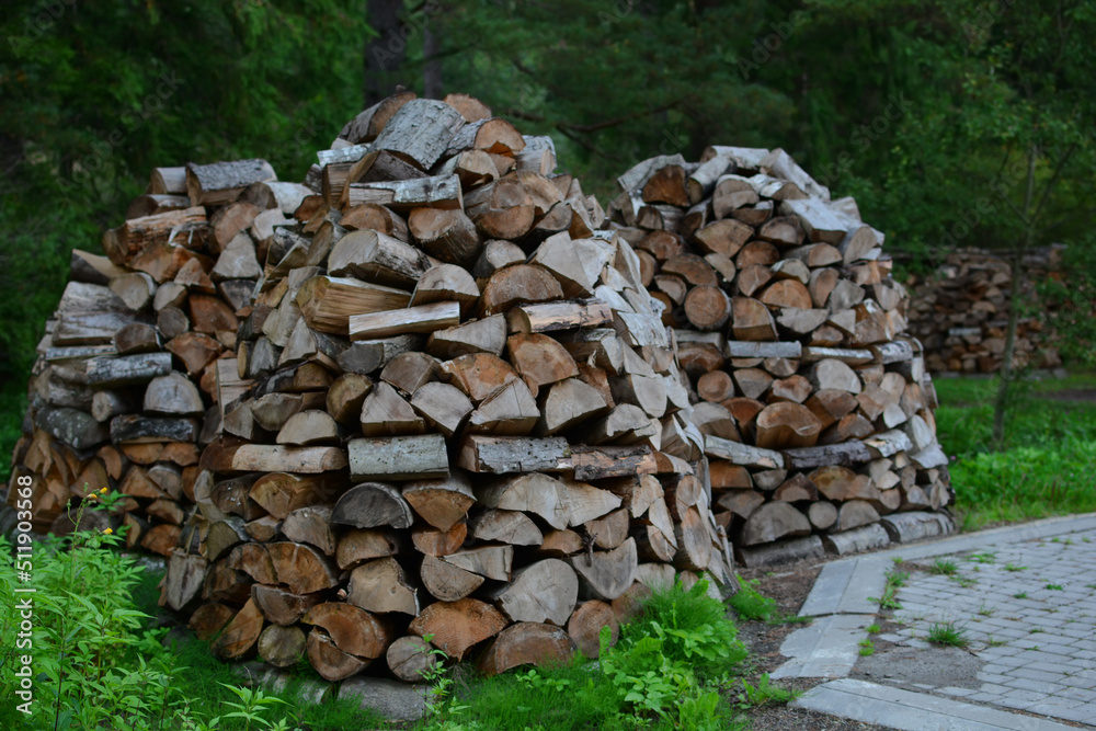 Firewood stacked in a pile
