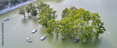 Catamaran boat trip on the lake with swamp cypresses growing out of the water. Shooting from a drone. photo