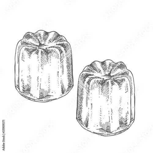 Hand drawn vector fresh french cannele illustration