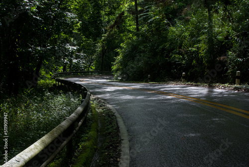 Wet roads and dangerous curves The road up the mountain during the rainy season is slippery and dangerous.
