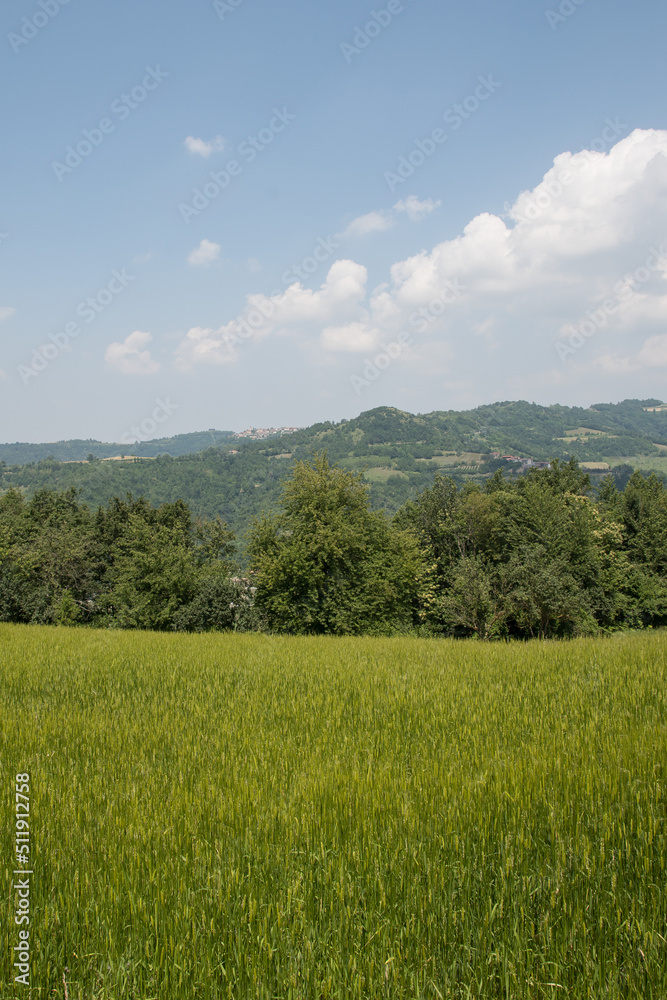 Obraz premium Lavanda di Sale San Giovanni
