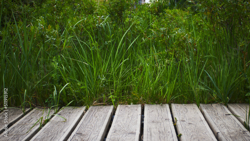 grass and wooden floor