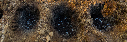 Eco friendly gardening. Soil prepared for planting, fertilized with compressed chicken manure pellets. Top view. Garden digging. © andreaobzerova
