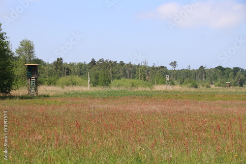 Fototapeta Naklejka Na Ścianę i Meble -  person walking in the field