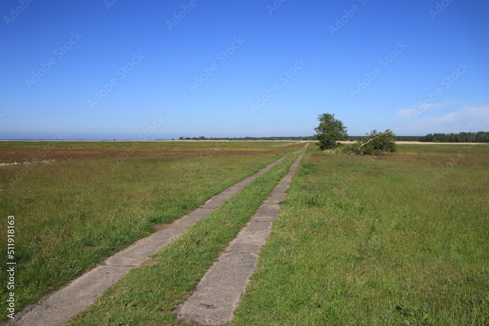 road in the field road in the field