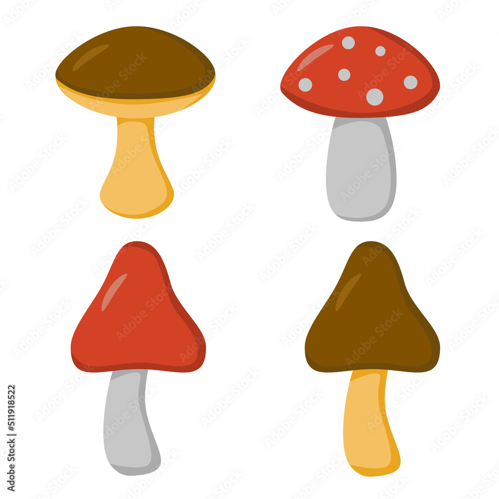 A set of brown and red mushrooms (boletus, fly agaric) in a flat style. Vector image. A set of brown and red mushrooms (boletus, fly agaric) in a flat style. Vector image.