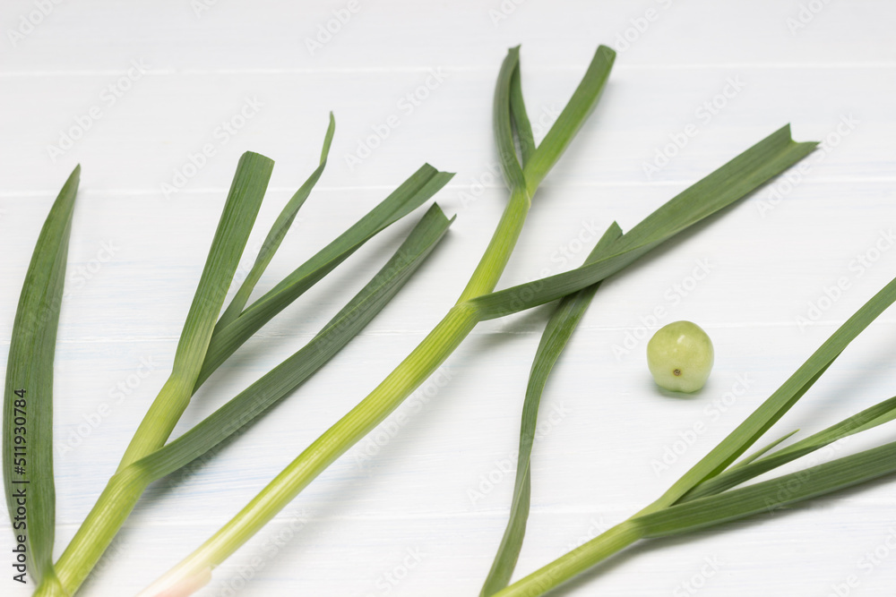 Leaves of fresh green garlic on white.