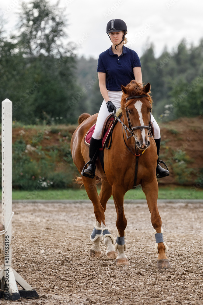 Young girl on bay horse performing her dressage test.