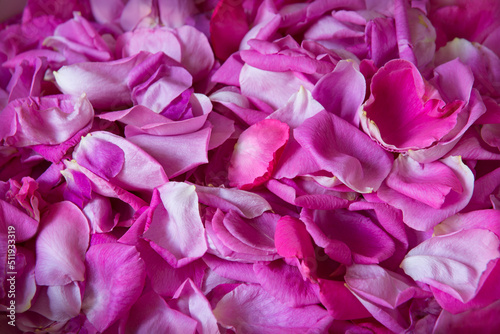 Natural background of rose petals © Marina