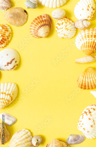 Seashells on yellow background  summer holiday concept. flat lay
