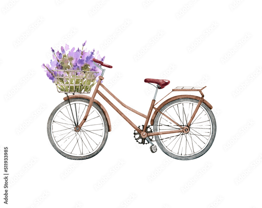 vintage bicycle with a basket of lavender flowers, watercolor illustration.