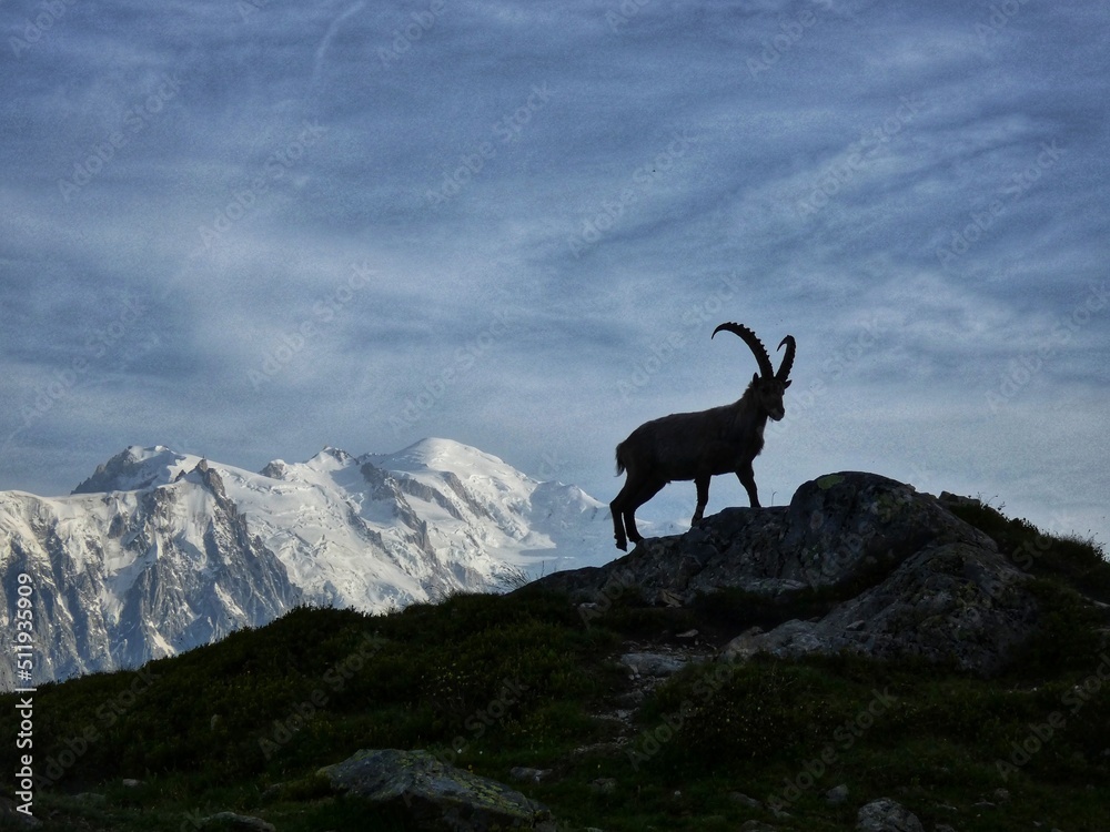 un seigneur des montagnes 