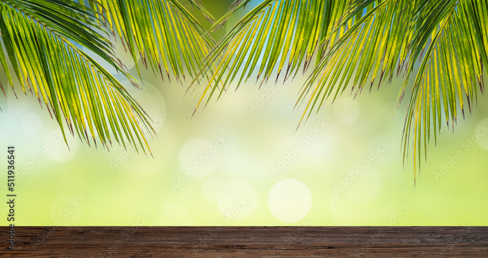 Green tropical background with palm branches. Mock-up for product presentation and advertising. Green tropical background with palm branches. Mock-up for product presentation and advertising.