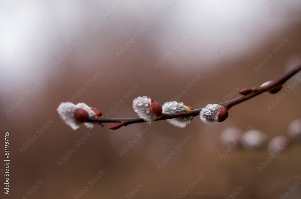 Abandoned old factory in the Czech Republic