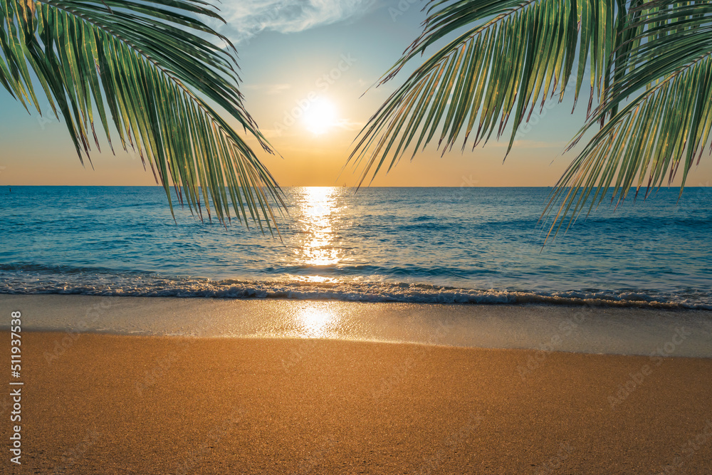 Sunset on tropical palm tree beach.