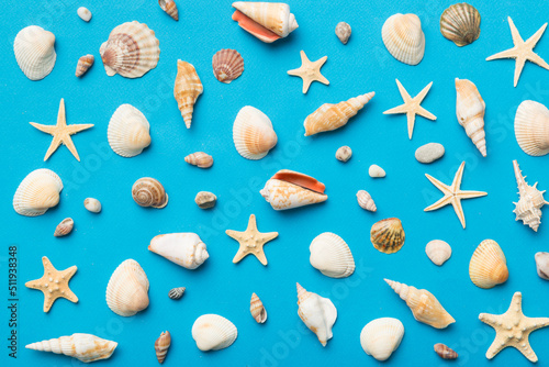 Summer time concept Flat lay composition with beautiful starfish and sea shells on colored table, top view