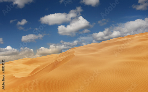 Panorama of sand dunes Sahara Desert at sunset. Endless dunes of yellow sand. Desert landscape Waves sand nature  3d illustration 