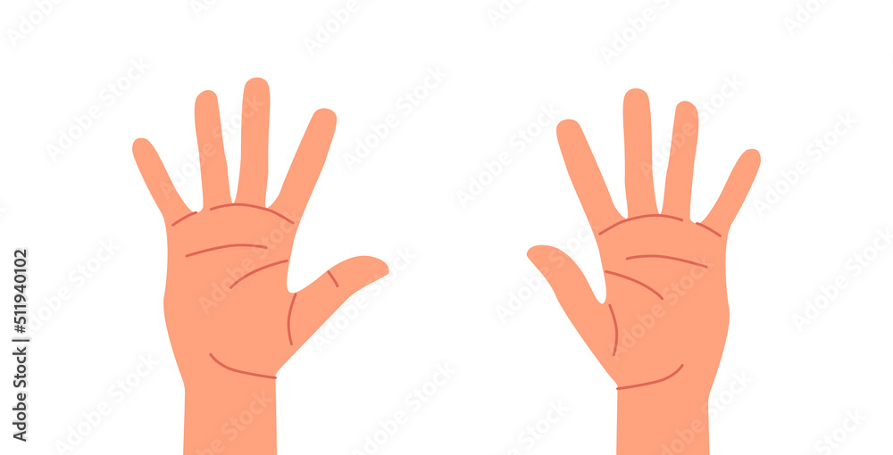 Human Hands, Open Empty Palms, Fingers Education for Kids . Little, Ring, Middle, Index and Thumb Fingers, Body Parts