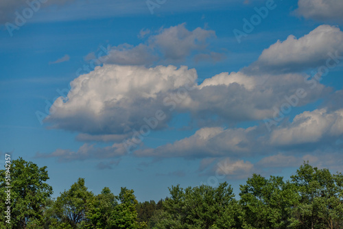 Landscape with blue sky near Roprachtice village in summer color day © luzkovyvagon.cz