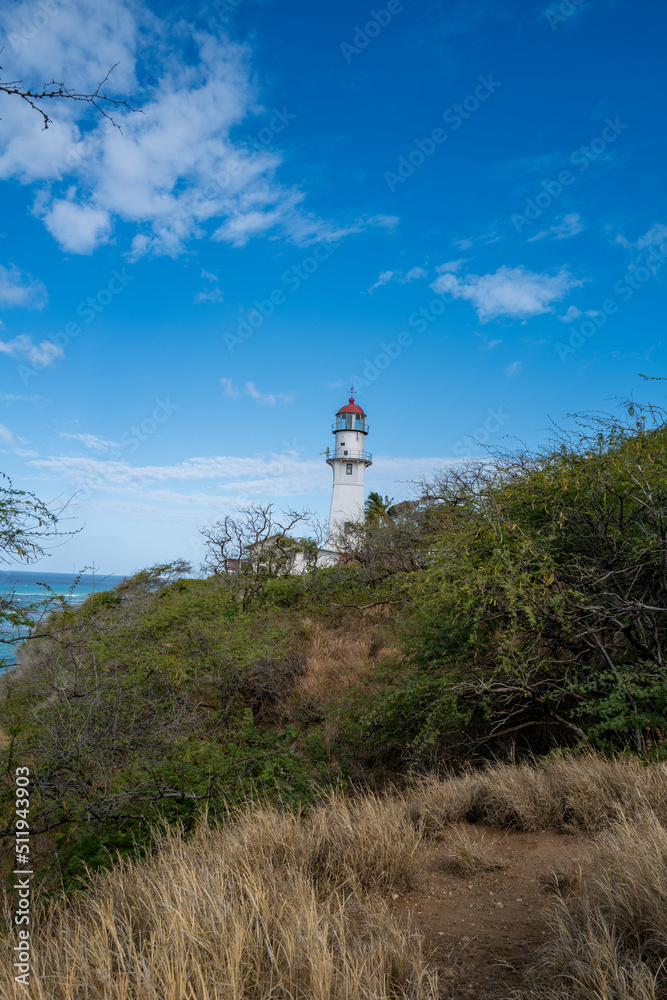 Lighthouse on a Brush Covered Hill with Blue Sky and Ocean in the Background.