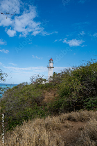 Lighthouse on a Brush Covered Hill with Blue Sky and Ocean in the Background.
