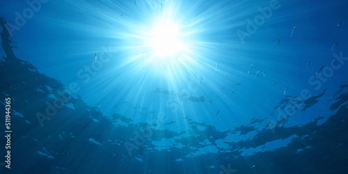 Bright sunlight with sunbeams under water surface in the sea with some small fish, natural scene, Mediterranean © dam