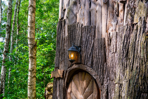 Fototapeta Naklejka Na Ścianę i Meble -  drzewo2