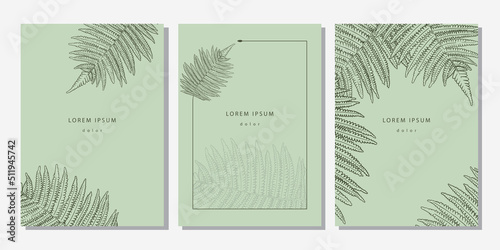 Set of tropical templates with linear fern texture. Light green botanical backgrounds with leaves