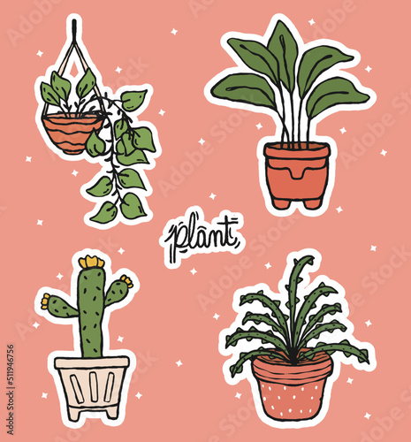 collection of succulents  stickers for planner, diary, scrapbook, collage - cactus, succulent