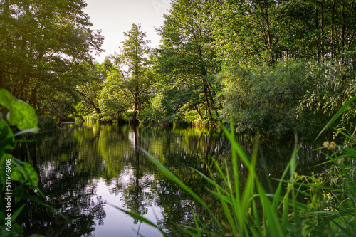 Rural landscape, river among green meadows	