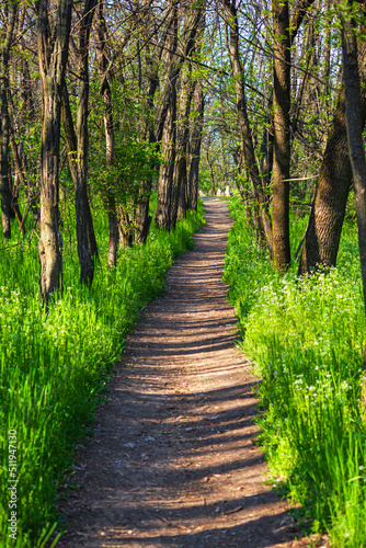 Spring landscape - a view of a narrow forest path leading to an ancient pagan sanctuary